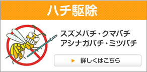 ハチ駆除